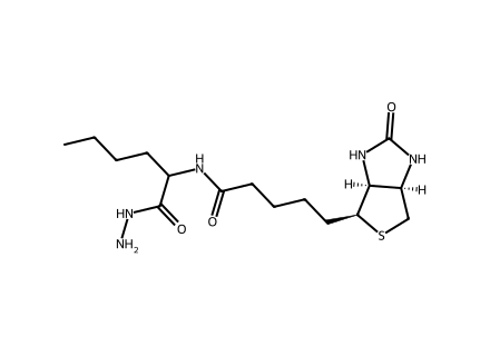 (+)-Biotinamidohexanoic Acid Hydrazide molecular structure