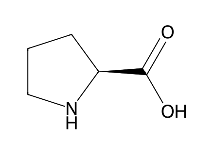 l-proline molecular structure