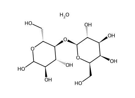 Pharmaceutical Excipients