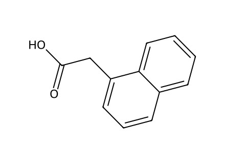 NAA (1-Naphthaleneacetic Acid) molecular structure